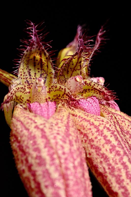 D72_4106_017s.jpg