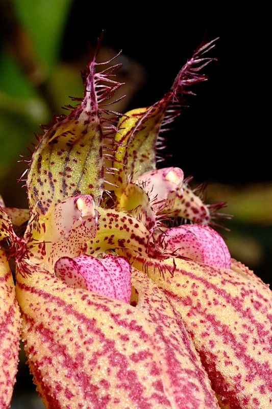 D72_4120_019s.jpg