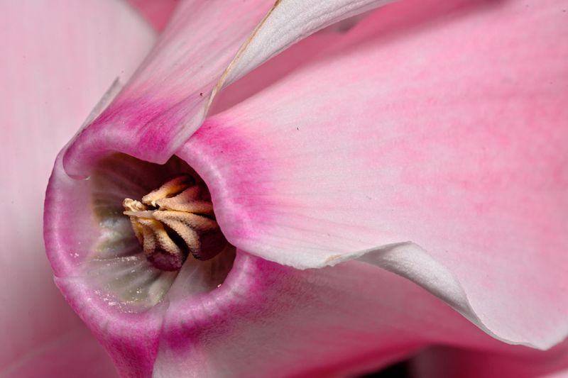 D72_4236_024.jpg