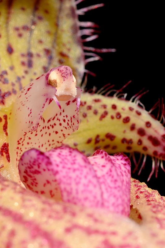 D72_4164_004s.jpg