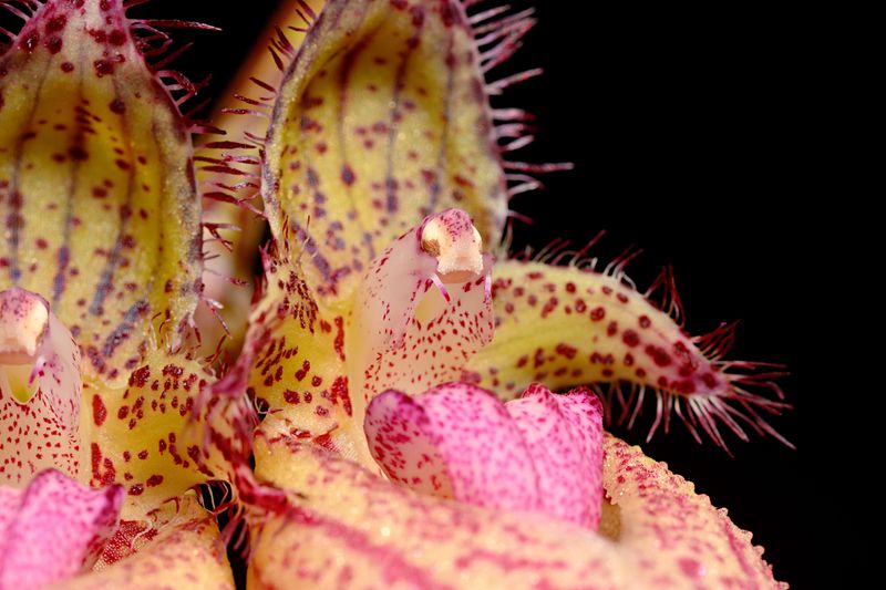 D72_4171_006s.jpg