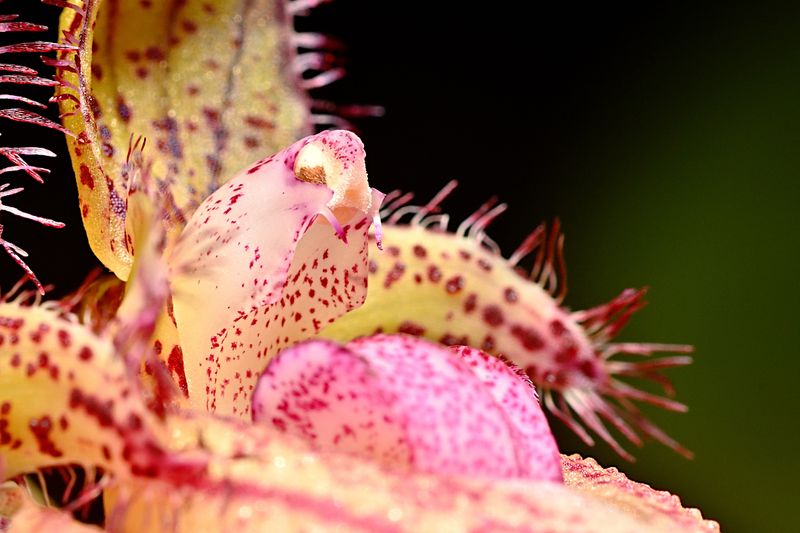 D72_4205_016s.jpg