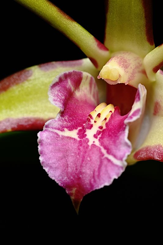 D72_4675_0013s.jpg