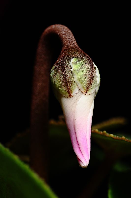 D72_4709_006s.jpg