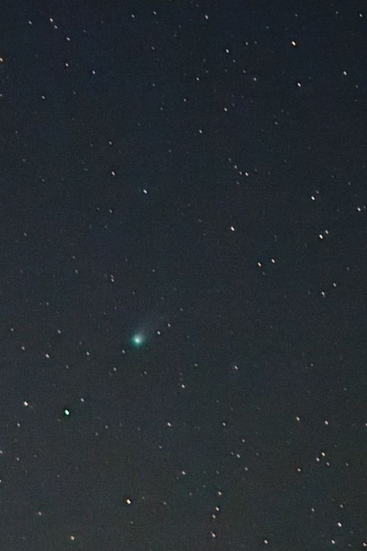 Comet 12P/Pons-Brooks