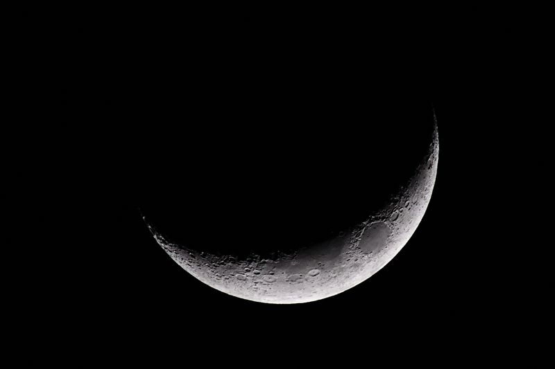 D85_0386_001s.jpg