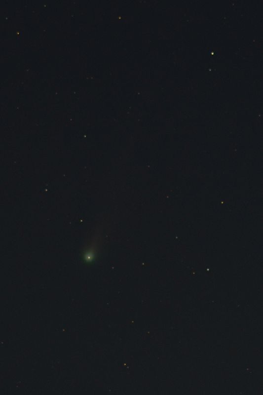 D85_0580_002s.jpg