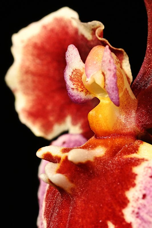 D85_0711_012s.jpg