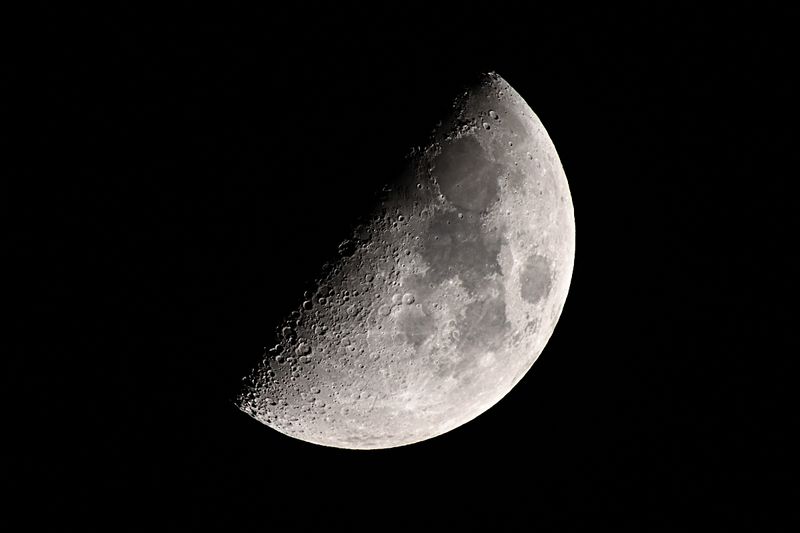 D85_1298_001s.jpg