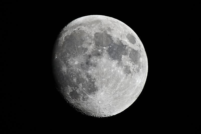 D85_1351_002s.jpg