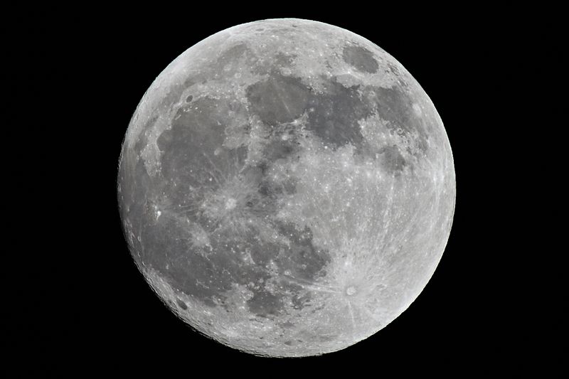 D85_1367_001s.jpg