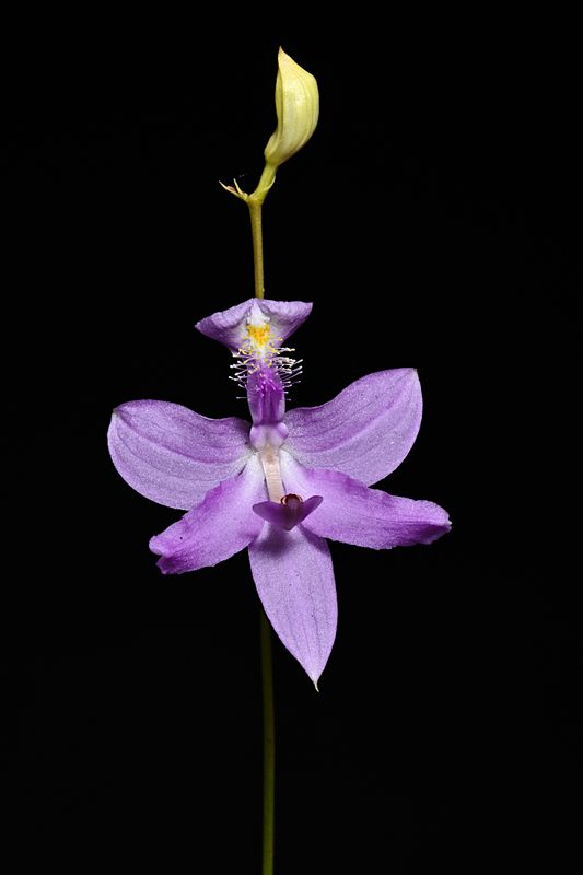 D85_1928_004s.jpg