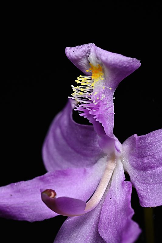D85_1933_006s.jpg
