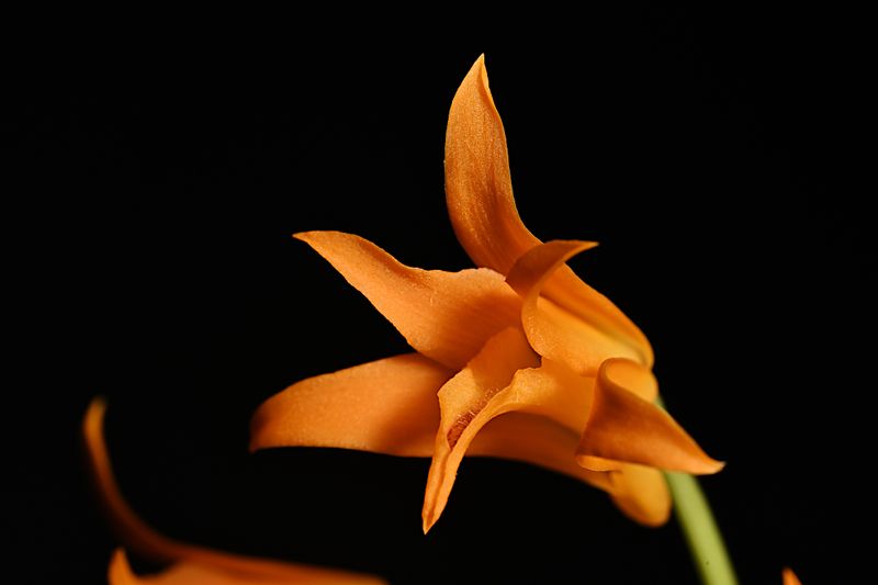 D85_2903_006s.jpg