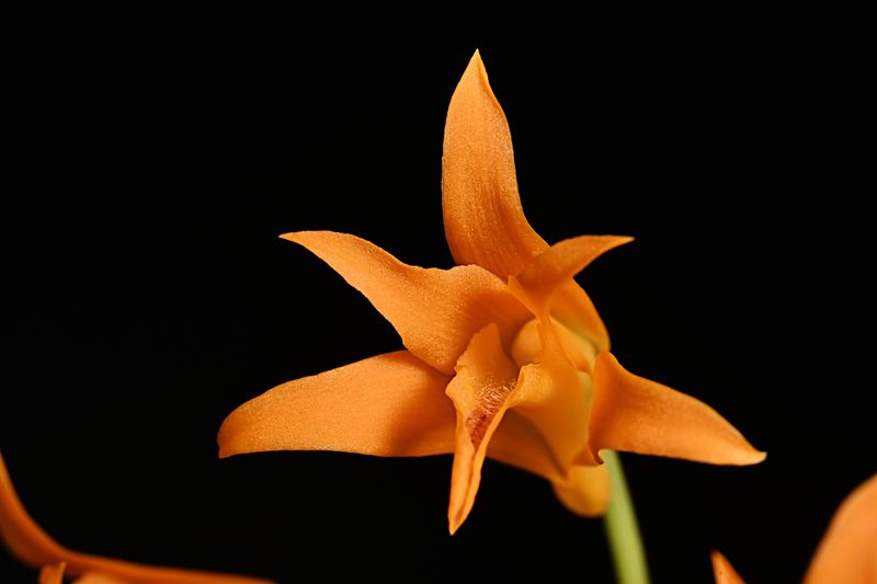 D85_2904_007s.jpg