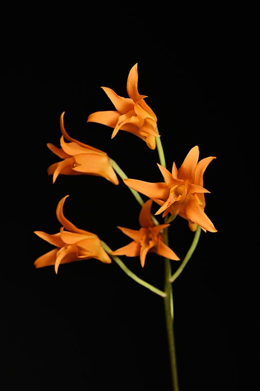 D85_2907_008s.jpg