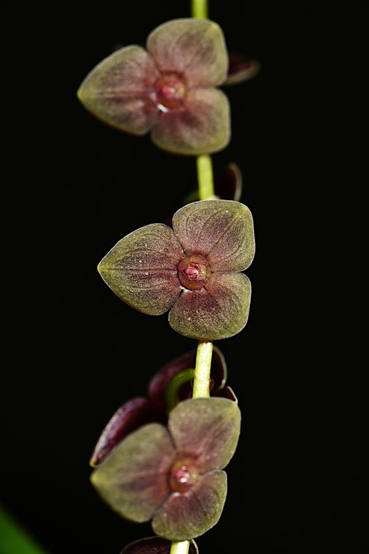 D85_3025_005s.jpg