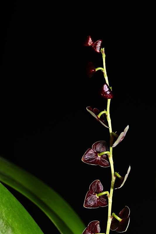 D85_3033_008s.jpg