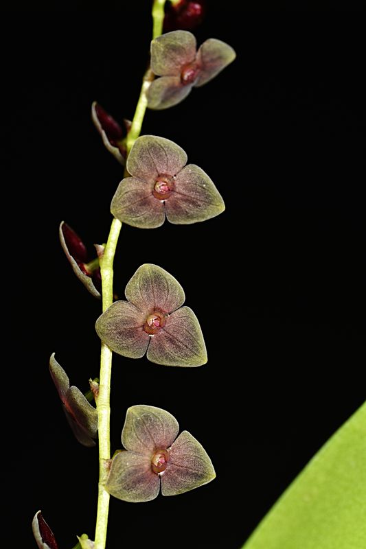 D85_3043_010s.jpg