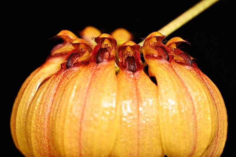 D85_3137_008s.jpg