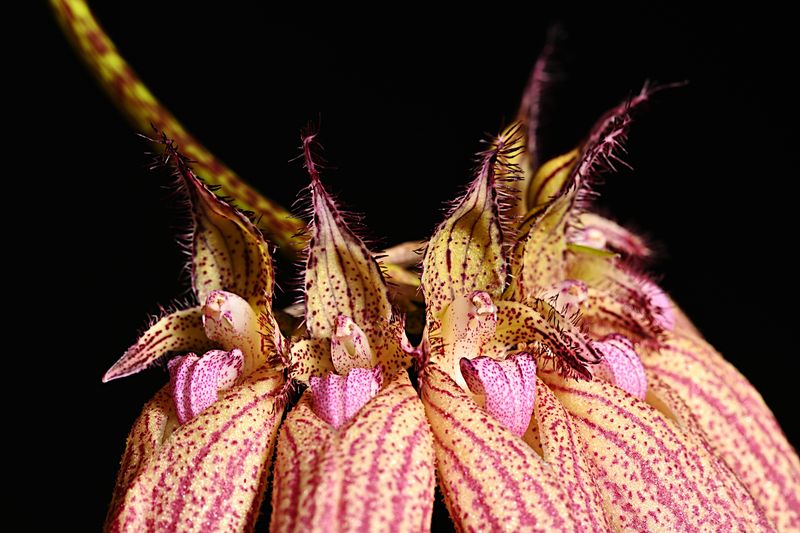 D85_3299_014s.jpg