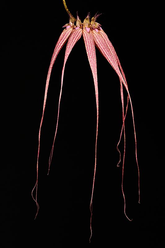 D85_3286_009s.jpg