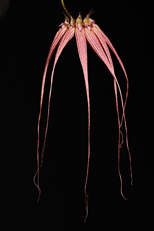D85_3256_002s.jpg