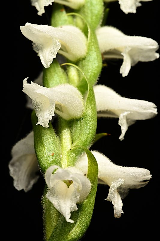 D85_3408_016s.jpg