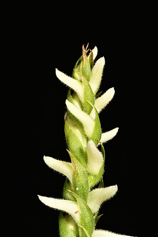 D85_3375_006s.jpg