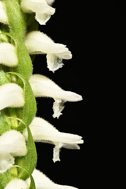 D85_3373_005s.jpg
