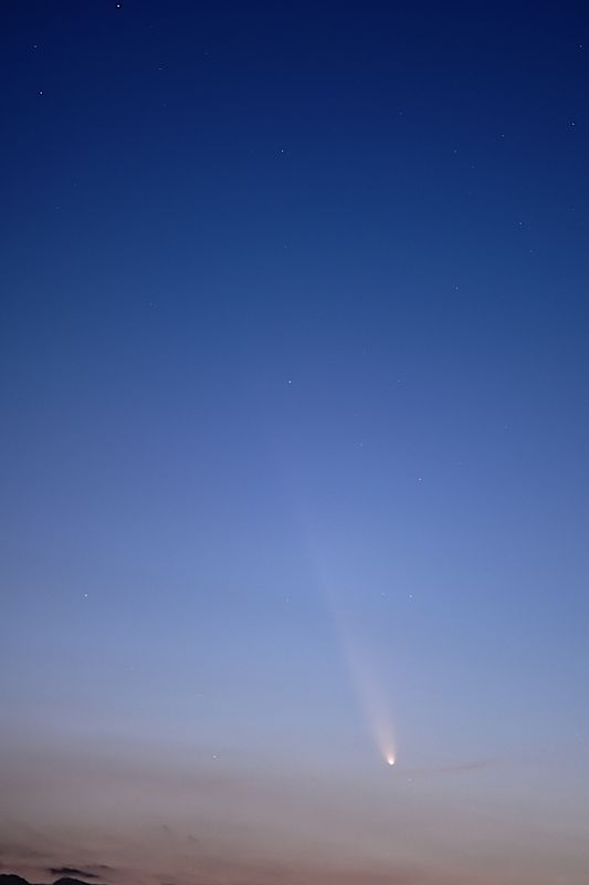 D85_4005_001s.jpg