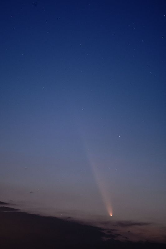 D85_4030_008.jpg
