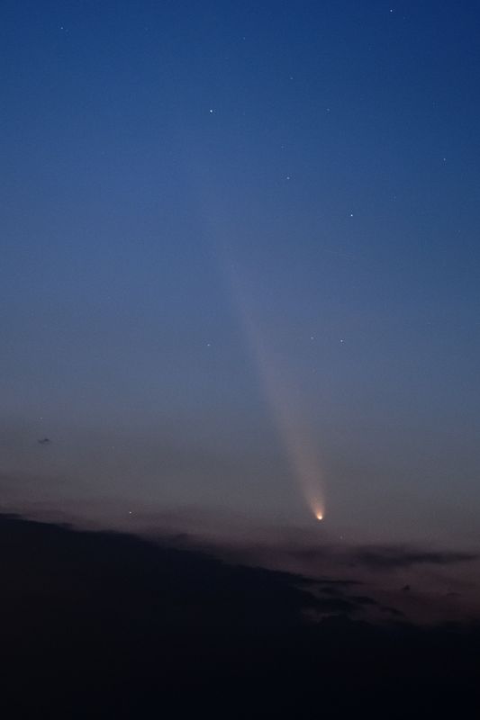D85_4028_007.jpg