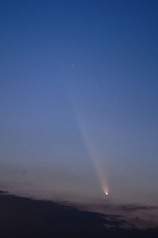 D85_4027_006.jpg