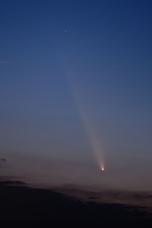 D85_4022_005.jpg
