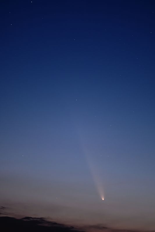 D85_4013_003.jpg