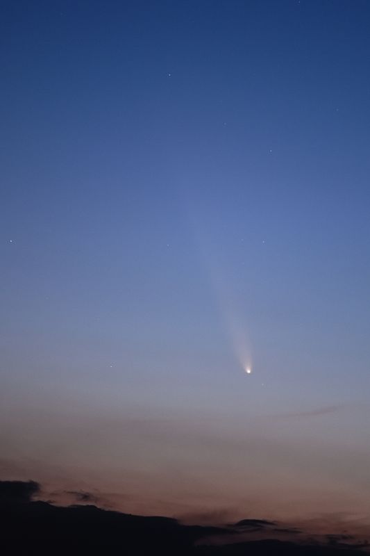 D85_3999_002.jpg