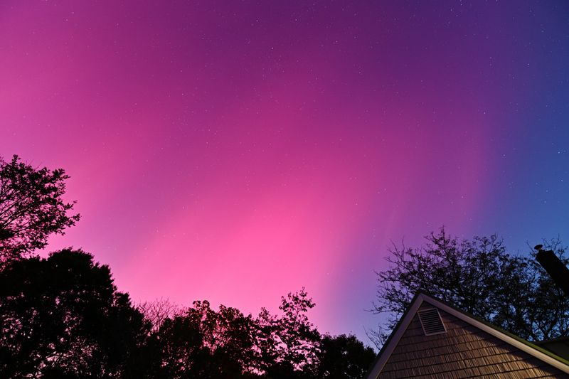 D85_3589_004.jpg