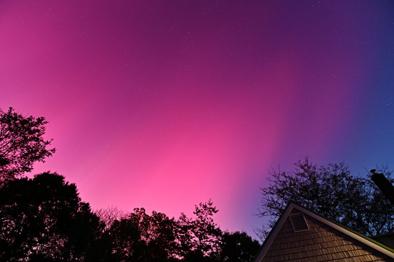D85_3592_005.jpg