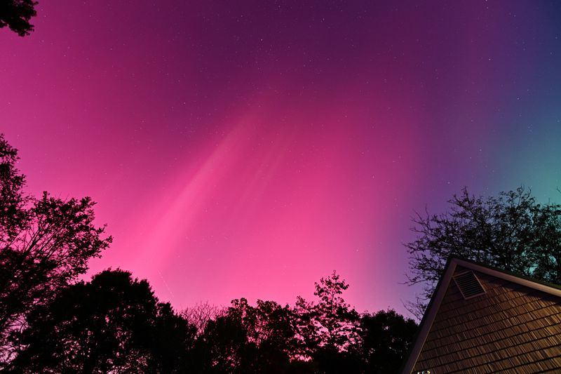 D85_3594_006.jpg