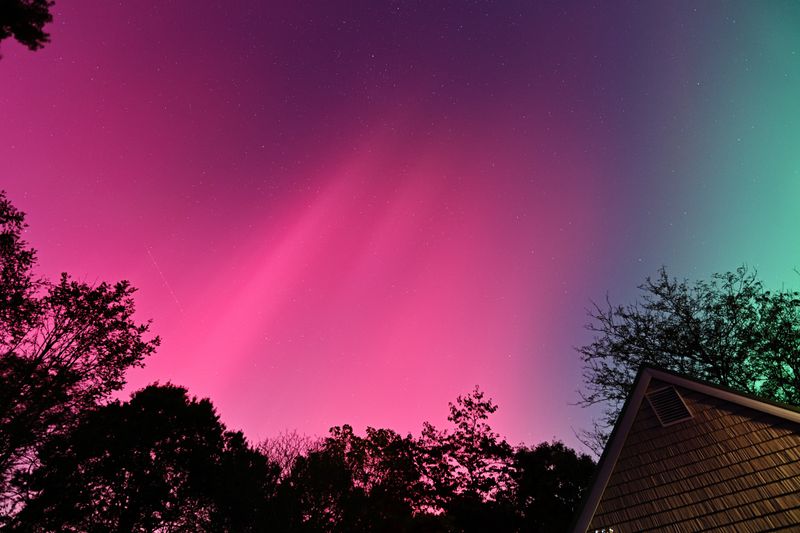 D85_3595_007.jpg