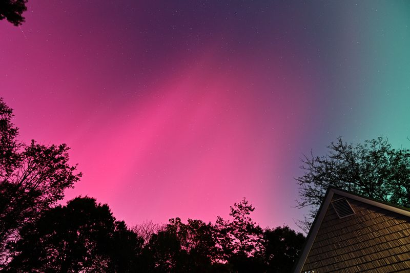 D85_3596_008.jpg