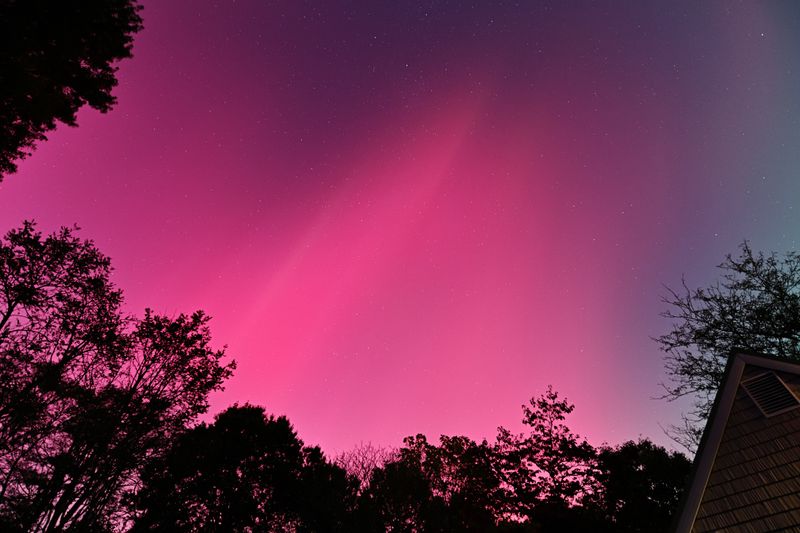 D85_3597_009.jpg