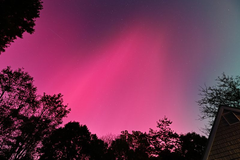 D85_3599_011.jpg