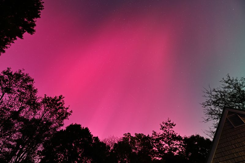 D85_3600_012.jpg