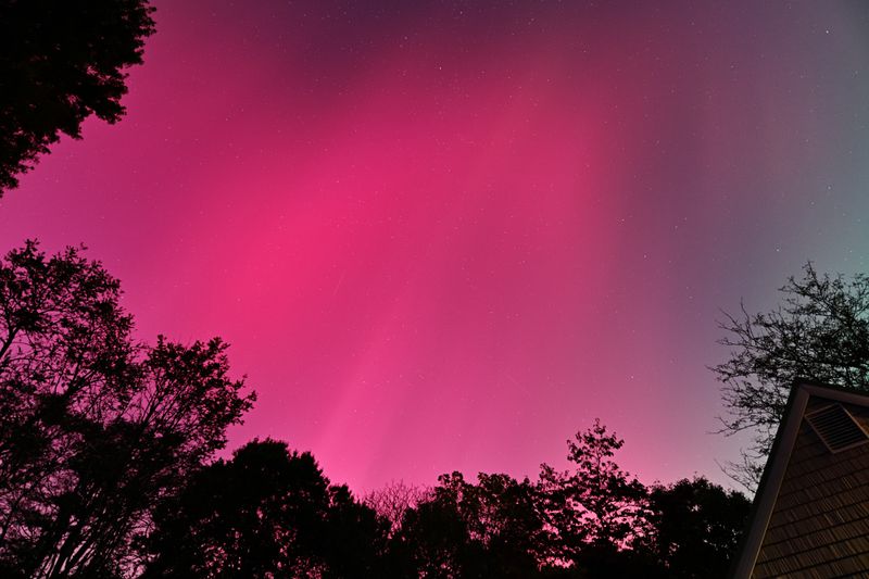 D85_3601_013.jpg