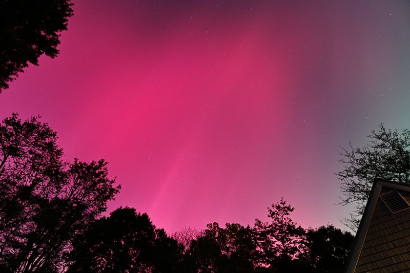 D85_3602_014.jpg