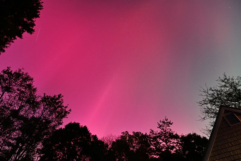 D85_3603_015.jpg