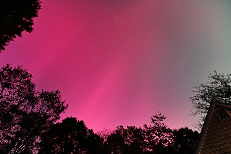 D85_3605_017.jpg