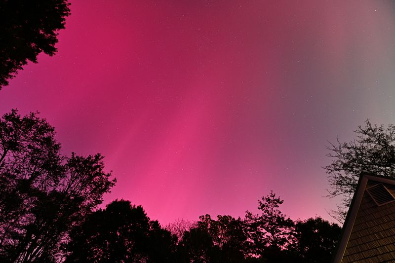 D85_3606_018.jpg